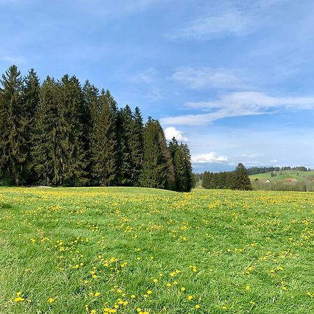 Lindners Hideaways - Bergnest Lodge - Bergblick Fewo 6 Pers Balkon Garten Hund Ski Unterkunft Luftkurort Oberreute Naehe Buchenegger Wasserfaelle Eistobel Bodensee Exterior foto