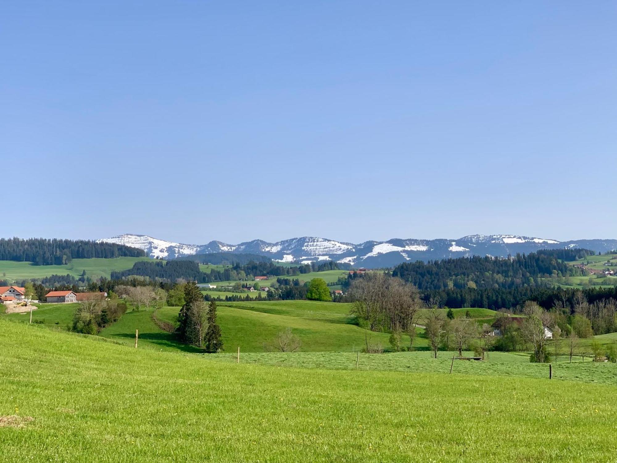 Lindners Hideaways - Bergnest Lodge - Bergblick Fewo 6 Pers Balkon Garten Hund Ski Unterkunft Luftkurort Oberreute Naehe Buchenegger Wasserfaelle Eistobel Bodensee Exterior foto
